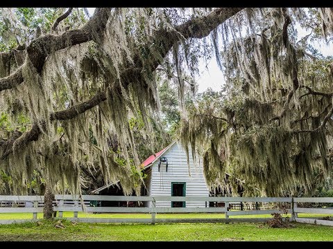 Discover Brunswick, GA