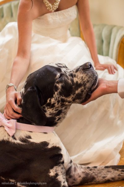 Micaheal Allen Photography, Anne Barge, Great Dane, Annesdale, Flour Garden, Let Them Eat Cake, Style Shoot, Southern Bride, Wedding Inspiration, Wedding Blog, Bridal Blog, Wedding Planning