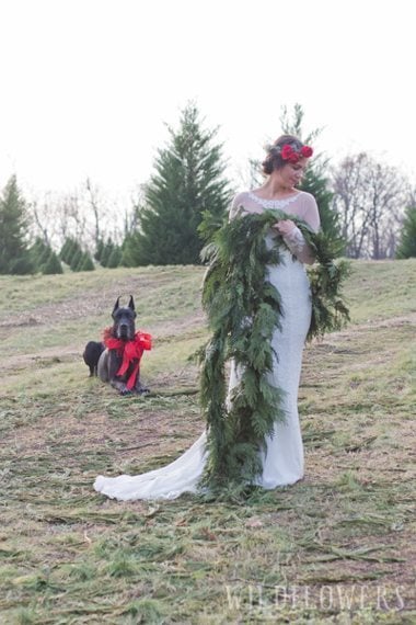 Southern Bride, Southern Wedding, Wedding Blog, Christmas Tree Wedding, Christmas Tree Farm, Christmas Wedding, Winter Wedding, Fairy Tale Wedding, Wedding, Bride, Memphis Wedding