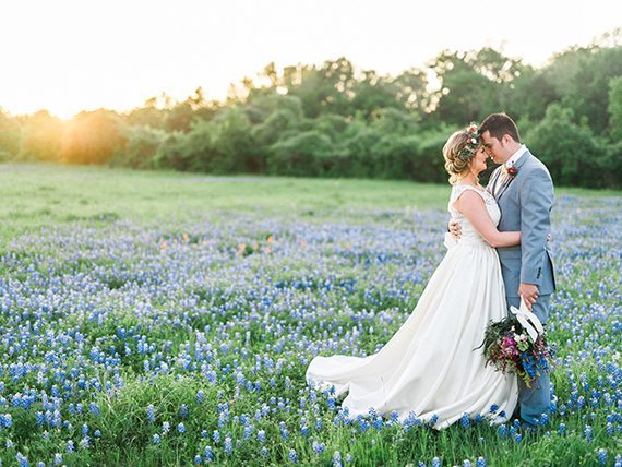 Wild Bluebonnets: Brenham, Texas