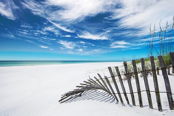 South Walton, Beach Wedding, Destination, Weddings, Whimsical, Southern Bride