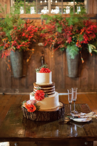 Fairytale North Carolina Wedding-cake