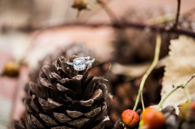 autumn_love_dinner-ring_pinecone