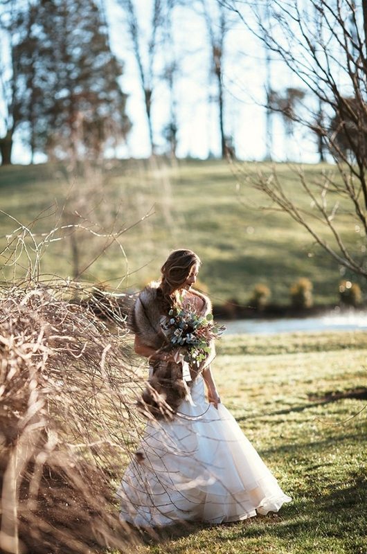 forest_and_fur-bride_looking_down