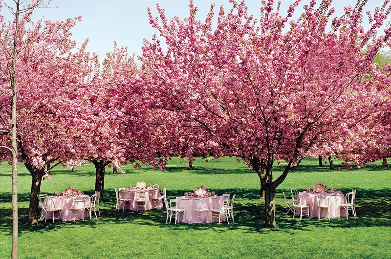 martha_stewart-pink_trees_tables