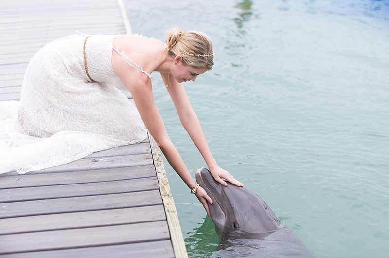 olia_isabelle-kneeling_dolphin