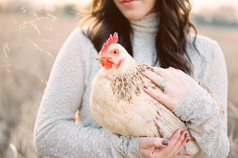 sunrise_breakfast-beth_chicken_closeup