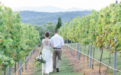Blue Mountain Vineyard Wedding