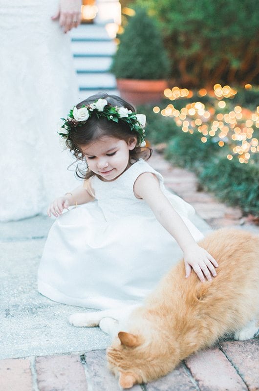 sophisticated_christmas_wedding-flower_girl_cat