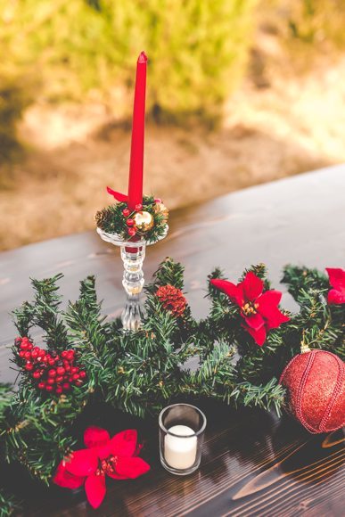 carolina_christmas-candle_and_garland