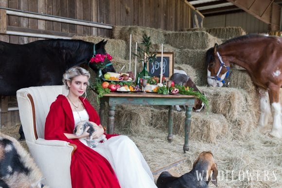 Christmas_on_the_farm-table_and_horeses