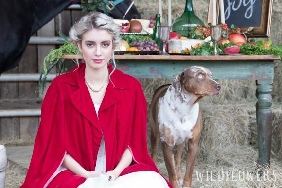 christmas_on_the_farm-bride_and_dog