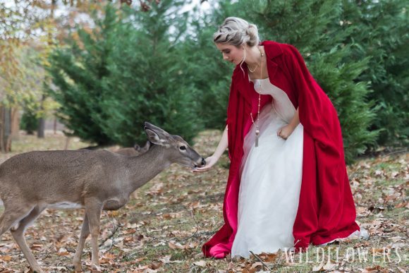Christmas_on_the_farm-bride_feeding_deer