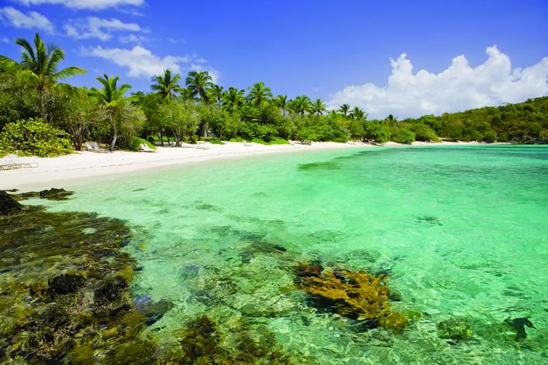 Caneel_Bay_St_John_US_Virgin_Islands