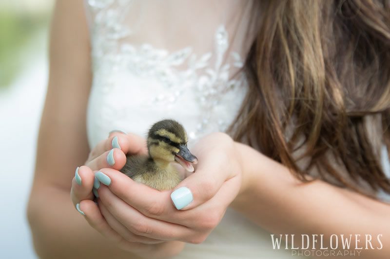 Easter_Sunday_At_Menagerie_Farms-Duckling