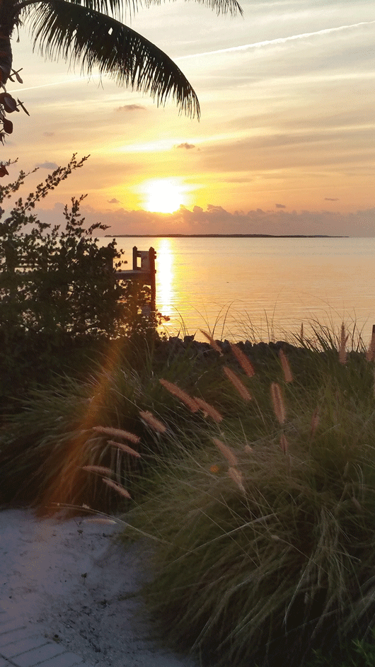 Florida_Keys_Kona_Kai-sunset-pier-palm-tree