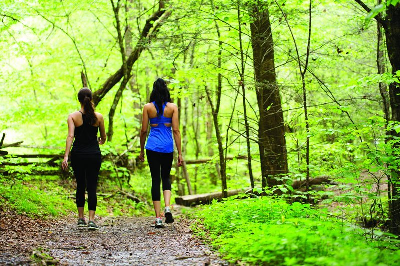 Walland_Tennessee_Blackberry_Farm-Walking_Trail