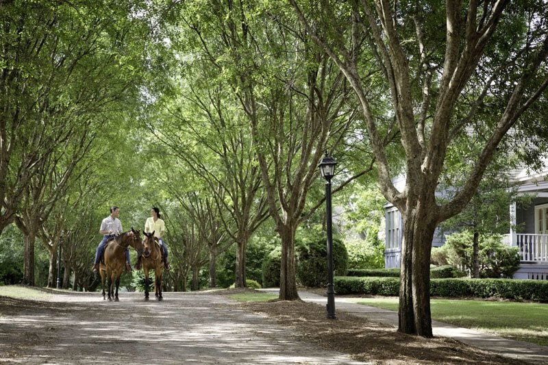 All_About_The_Bourbon-Horseback_Riding