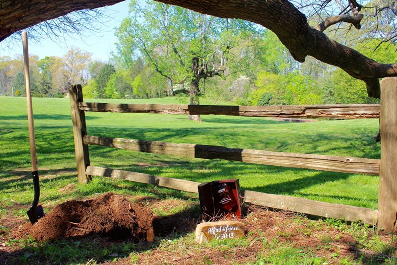 All_About_The_Bourbon-burying_bourbon_under_tree