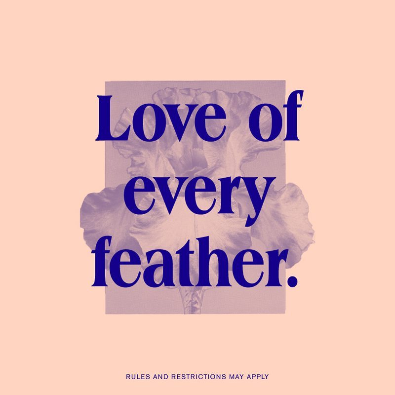 Woah_Free_Wedding_Giveaway-Love_Of_Every_Feather