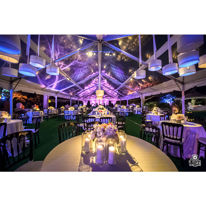 Events by Elle Inc purple Ceiling Lighting reception room