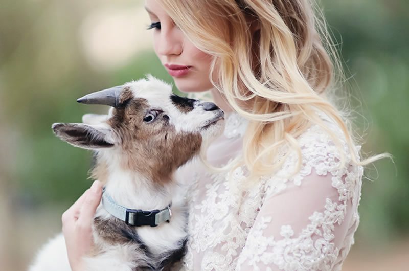 Boho_Chic_yes_please-holding_goat