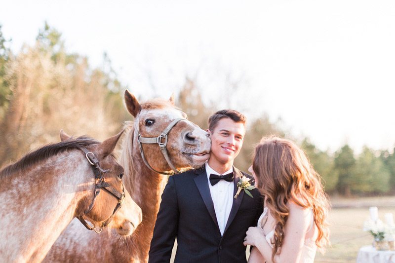Elegant_Southern_Wedding-horse