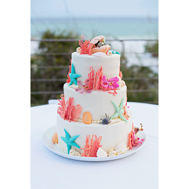 hilton_sandestin-tropical_cake