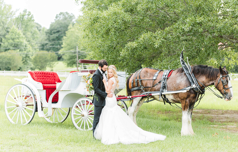 Lemon_Lime_Southern_Wedding_Inspiration