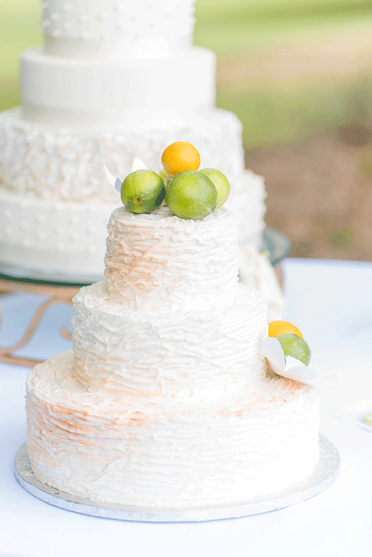 Lemon_Lime_Southern_Wedding_Inspiration