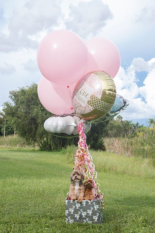 Puppy_Wedding-bride_and_groom_puppies_in_hot_air_balloon