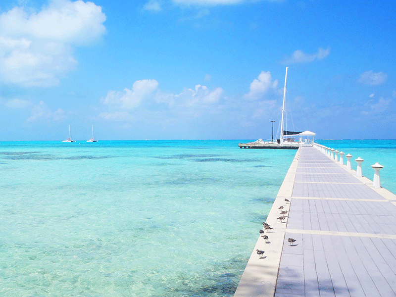 The_Westin_Cayman_Islands-beach_view_with_boats