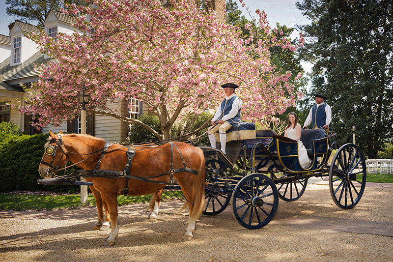 Williamsburgh-horse_and_buggy