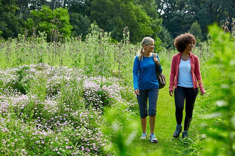 The American Club Girls Hiking Outdoors