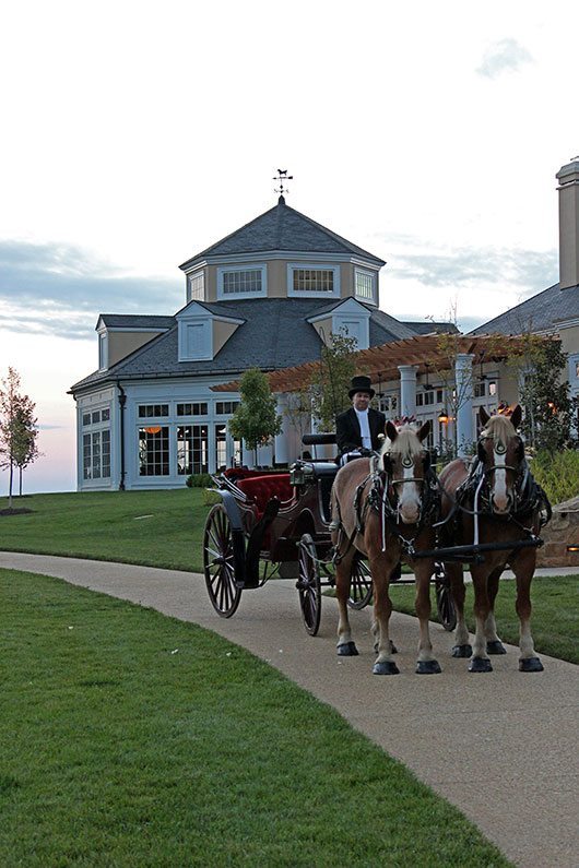 Salamander Resort Horse Drawn Carriage