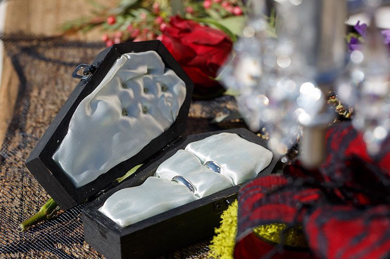 Vampire Wedding Rings In Coffin