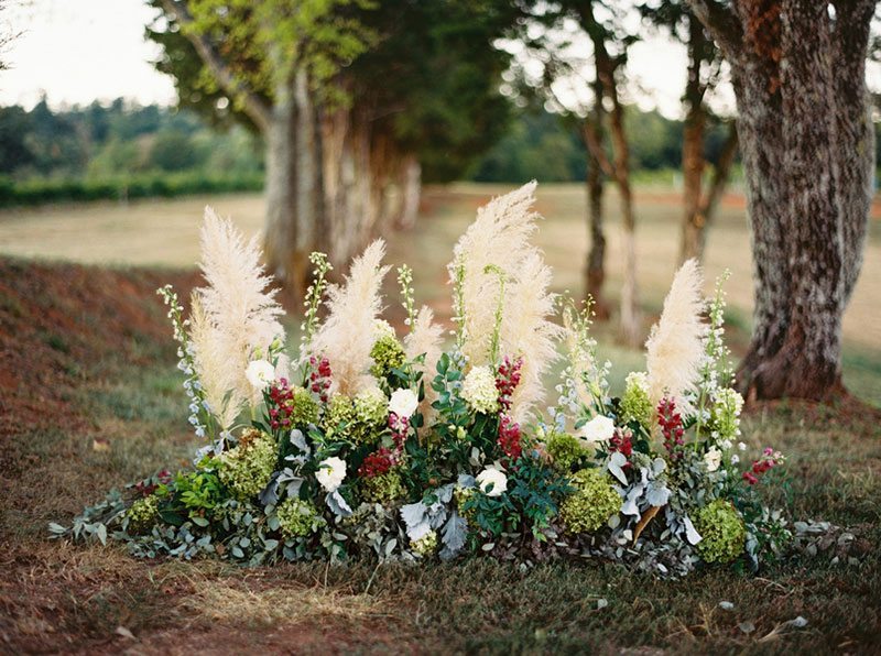 Autumn Flowers On Ground