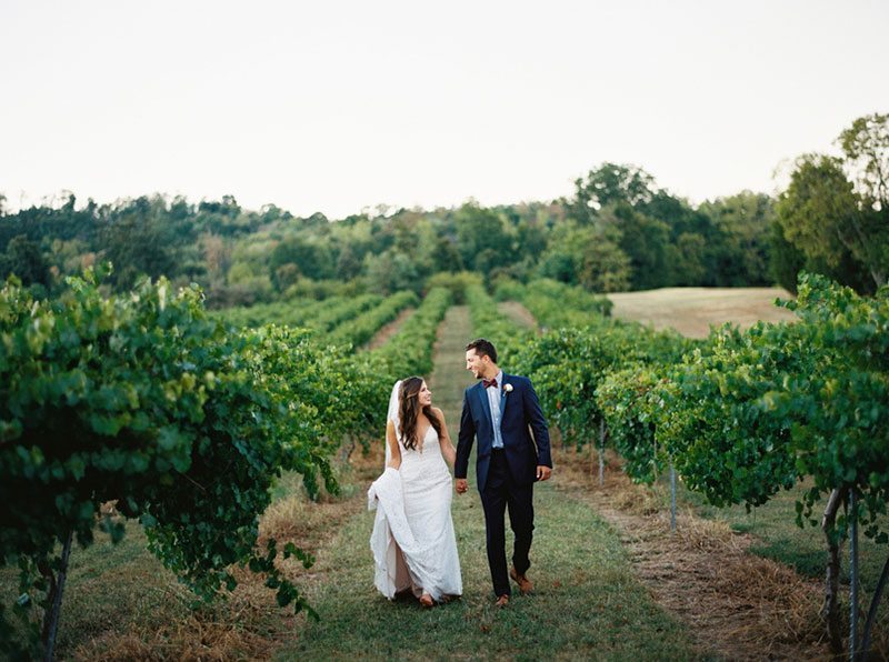 Autumn Walking In Vineyard