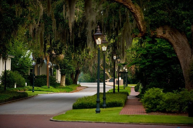 Montage Streets Wtih Lights And Trees