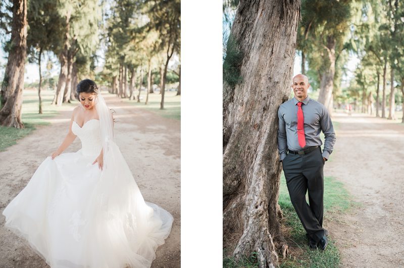 Christmas Wedding In Hawaii Bride And Groom Collage