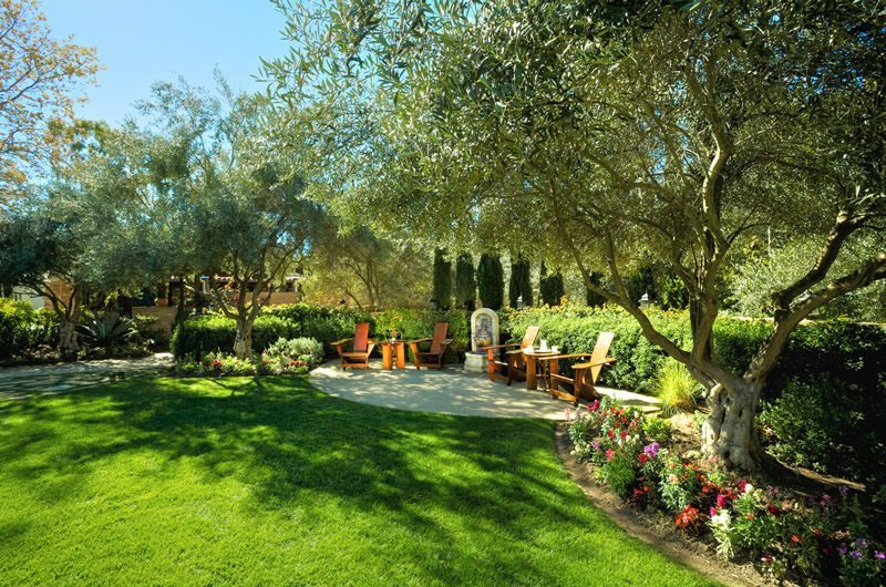 Estancia La Jolla Hotel Spa California Olive Lawn