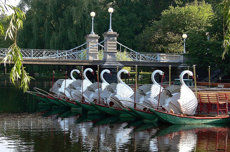 Four Seasons Boston Hotel Swan Boats