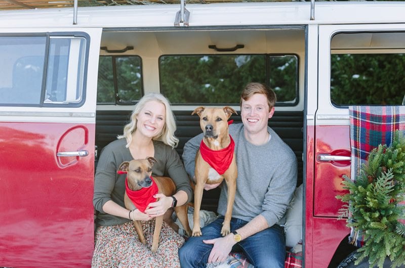 Merry Christmas Engagement Session With Dogs