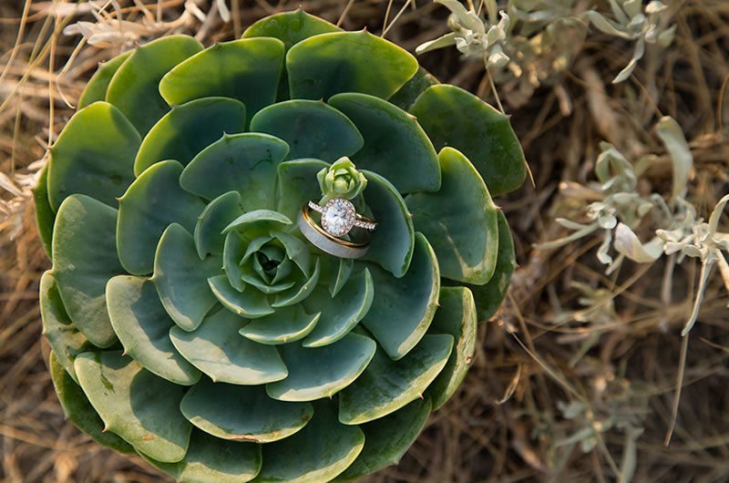 Romantic And Moody Wedding Inspiration Ring