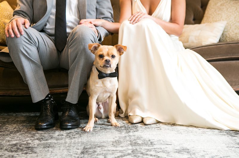 Munoz Niknejad Real Wedding Couples Dog