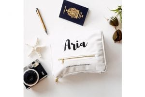 6 Must Have Travel Accessories Aria