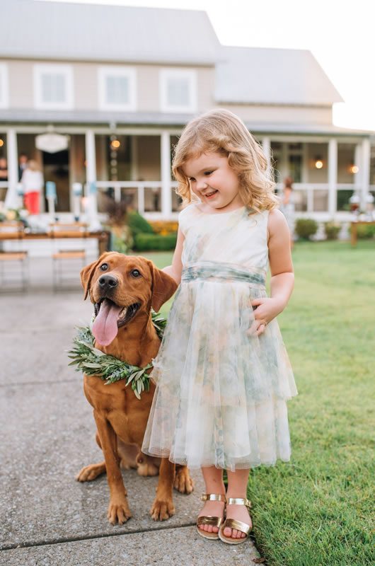 Blue Wedding Details Inspiration Dog