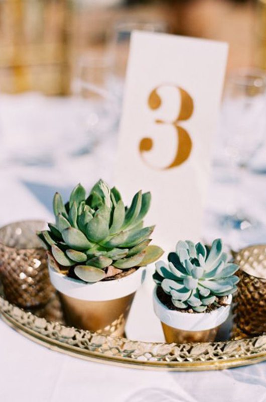 5 Ideas For Perfect Centerpieces Succulent Wedding Favors