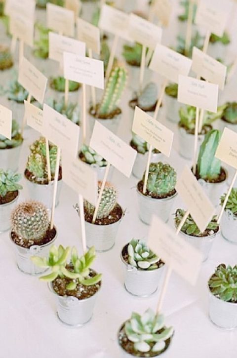 7 Insta Worthy Ways to Incorporate Cacti Into Your Wedding | Southern Bride