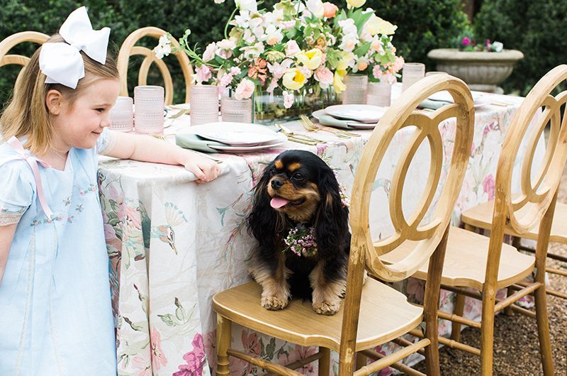 Spring Styled Shoot Girl And Dog